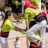 aDSC_5631