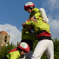 4d5 (10)