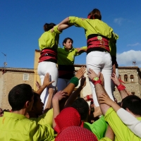 4d5 (14)