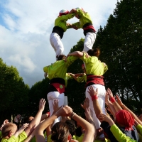 4d5 (18)