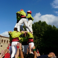 4d5 (19)