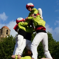 4d5 (20)