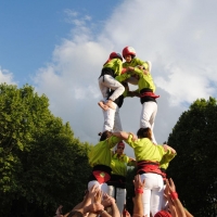 4d5 (3)