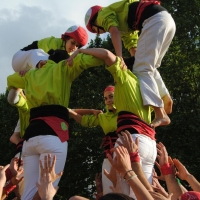 4d5 (4)