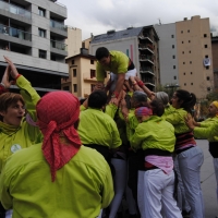 diada-1-96