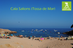 Cala Salions (taller) 25-9-19