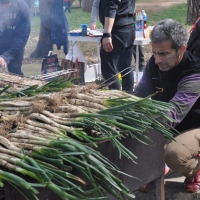 calçots  (1)