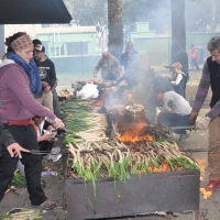 calçots  (12)