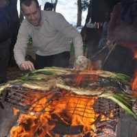 calçots  (13)