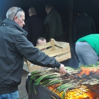 calçots  (14)
