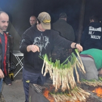 calçots  (15)
