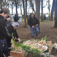 calçots  (4)