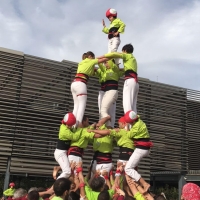 3d6a (8)