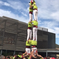 T6 (6)