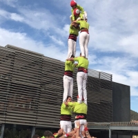 T6 (7)