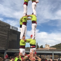 T6 (8)