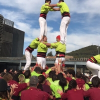 T6 (9)