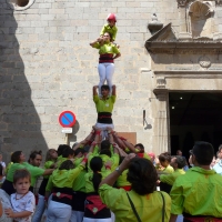 p4 inici (8)