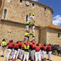 montras 4
