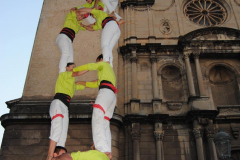 Diada Olot 14-10-2017