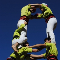 4 t6 (12)