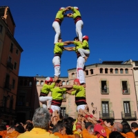 4 t6 (7)