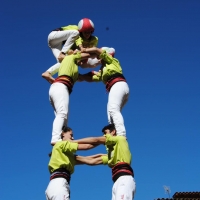 4 t6 (9)