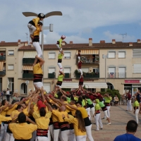 P4 entrada (8)
