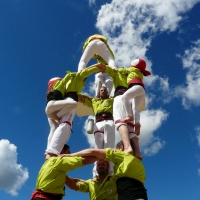 3d6 (21)