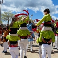 ball (12)