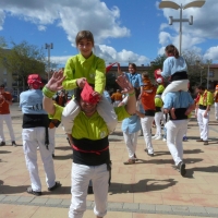 ball (13)