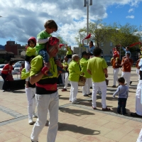 ball (16)