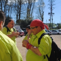 cercavila (13)