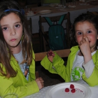 dinar (1)