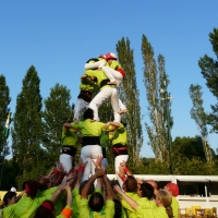 P1150991