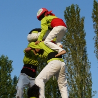 P1150992