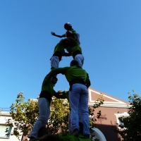 3d6 (16)
