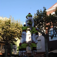 4d6 (8)