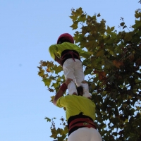 P4cam (3)