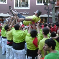 mante (1)