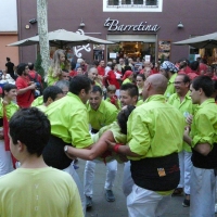mante (3)