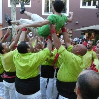 mante (5)