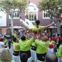 mante (6)