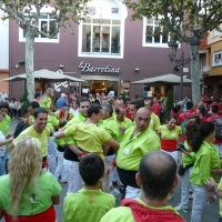 mante (7)