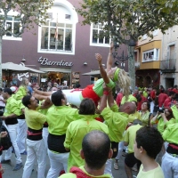 mante (8)