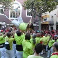 mante (9)