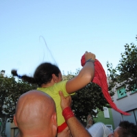 mantejades (2)