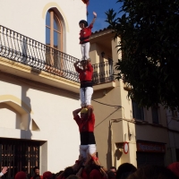 DSCF8887