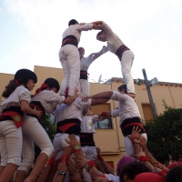DSCF8930