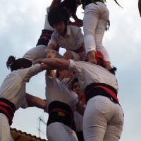 DSCF8974